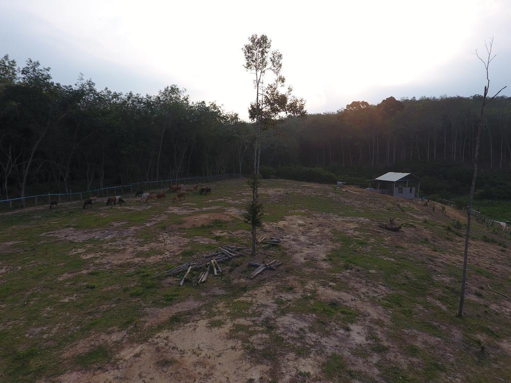 开庞塞莫沃尔小木屋农家乐 瓜拉江沙 外观 照片